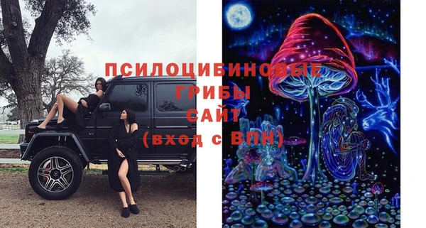 стафф Балабаново