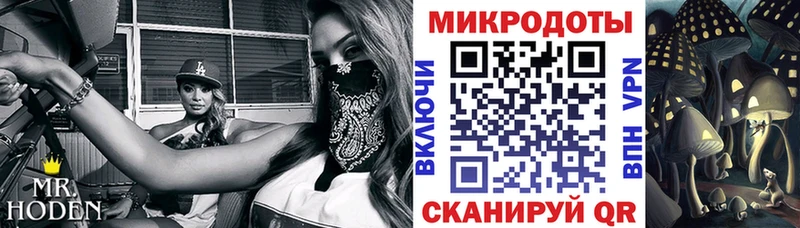 маркетплейс клад  Сегежа  Галлюциногенные грибы Magic Shrooms 