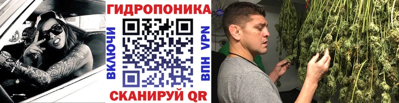 Бошки Шишки Amnesia  Сегежа 